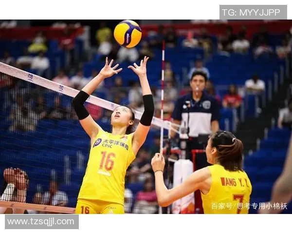 南京排球队运营揭秘：探索其成功背后的策略与挑战