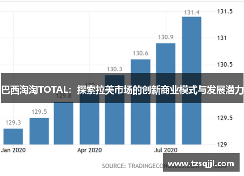 巴西淘淘TOTAL：探索拉美市场的创新商业模式与发展潜力