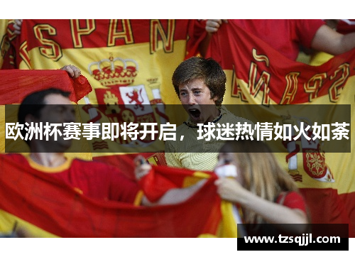 欧洲杯赛事即将开启，球迷热情如火如荼